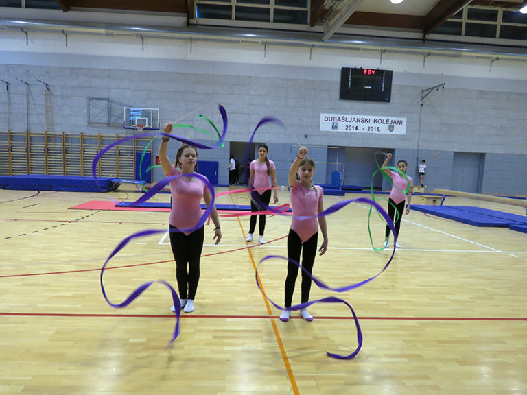 Dan škole - revijalni nastup gimnastičara